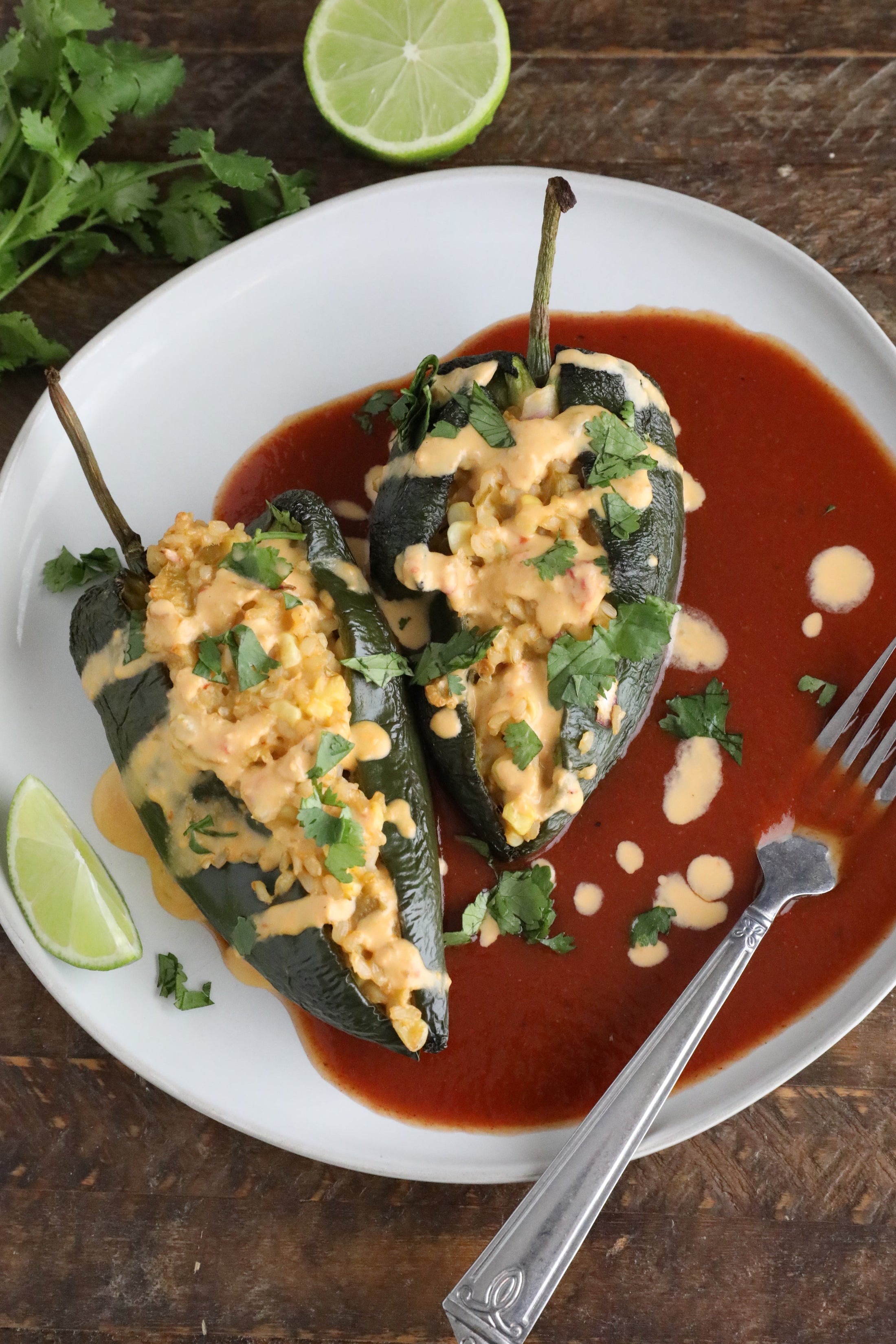 Stuffed poblano peppers on a white plate with red sauce